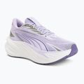Bėgimo batai Puma Maxima Pro light lavender/plum purple
