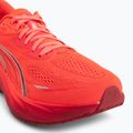 Vyriški bėgimo batai Puma Velocity Nitro 5 ultra red/red rhythm 7