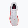 Vyriški bėgimo batai Puma Velocity Nitro 5 puma white/ultra red 5