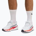 Vyriški bėgimo batai Puma Velocity Nitro 5 puma white/ultra red 7