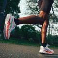 Vyriški bėgimo batai Puma Velocity Nitro 5 puma white/ultra red 9
