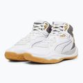 Vyriški krepšinio bateliai PUMA Playmaker Pro Mid Trophies ash grey/cast iron/puma gold 8