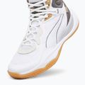 Vyriški krepšinio bateliai PUMA Playmaker Pro Mid Trophies ash grey/cast iron/puma gold 12