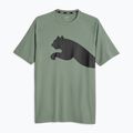 Vyriški treniruočių marškinėliai PUMA Train All Day Big Cat eucalyptus/puma black