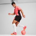 Futbolo batai PUMA Future 7 Ultimate FG/AG sunset glow/puma black/sun stream 15