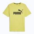 Vyriški marškinėliai PUMA Es Logo Tee (S) lime sheen
