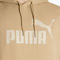 Vyriškas džemperis PUMA Essentials Big Logo Hoodie FL prairie tan 3