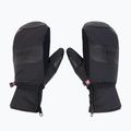 KinetiXxx Blake Ski Alpin Mitten GTX vyriškos slidinėjimo pirštinės juodos spalvos 7019-270-01 3