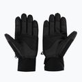 Vyriškos slidinėjimo pirštinės Descente Gordon 93 black DWBUGD11 2