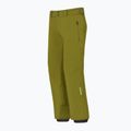 Vyriškos slidinėjimo kelnės Descente Roscoe olive green 3