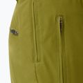 Vyriškos slidinėjimo kelnės Descente Roscoe olive green 8