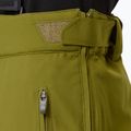 Vyriškos slidinėjimo kelnės Descente Roscoe olive green 9
