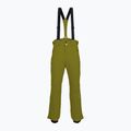 Vyriškos slidinėjimo kelnės Descente Roscoe olive green