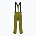 Vyriškos slidinėjimo kelnės Descente Roscoe olive green 2