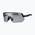 Akiniai nuo saulės Shimano CE-TCNL2 Technium L matte black/photochromic gray