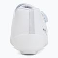 Vyriški plento dviračių batai Shimano SH-RC703 white 6