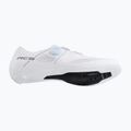Vyriški plento dviračių batai Shimano SH-RC503 white 6