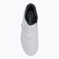 Vyriški plento batai Shimano SH-RC302 white 5