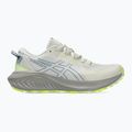 Moteriški bėgimo batai ASICS Gel-Excite Trail 2 birch/dolphin grey 8
