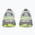 Moteriški bėgimo batai ASICS Gel-Excite Trail 2 birch/dolphin grey 11