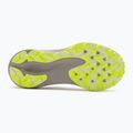 Moteriški bėgimo batai ASICS Gel-Excite Trail 2 birch/dolphin grey 4