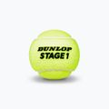 Dunlop Stage 1 vaikų teniso kamuoliukai 3 vnt. žali 601338 3