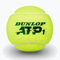 Teniso kamuoliukai Dunlop ATP Tour 4 pack green 4
