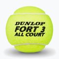 Teniso kamuoliukai Dunlop Fort All Court Ts 4B 2025 3