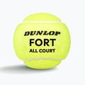 Teniso kamuoliukai Dunlop Fort All Court Ts 4B 2025 3