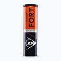 Teniso kamuoliukai Dunlop Fort Clay Court 4B 2025