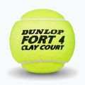 Teniso kamuoliukai Dunlop Fort Clay Court 4B 2025 3