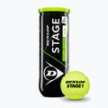 Teniso kamuoliukai Dunlop Stage 1 3 pack green