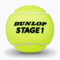 Teniso kamuoliukai Dunlop Stage 1 3 pack green 3