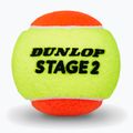 Teniso kamuoliukai Dunlop Stage 2 3 pack orange 3