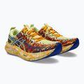 Vyriški bėgimo batai ASICS Noosa Tri 16 huddle yellow/illusion blue 10