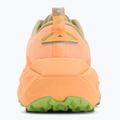 Vyriški bėgimo batai ASICS Trabuco Max 4 cream/khaki 6