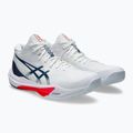 Vyriški batai ASICS Sky Elite FF MT 3 white/mako blue 3