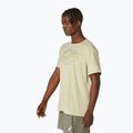 Vyriški bėgimo marškinėliai ASICS Fujitrail Logo SS khaki 4
