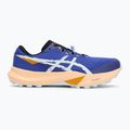Vyriški bėgimo bateliai ASICS Fuji Lite 6 cobalt burst/cool grey 2