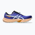 Vyriški bėgimo bateliai ASICS Fuji Lite 6 cobalt burst/cool grey 8