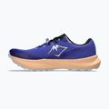 Vyriški bėgimo bateliai ASICS Fuji Lite 6 cobalt burst/cool grey 9