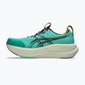 Vyriški bėgimo bateliai ASICS Gel-Nimbus 28 TR aurora green/black 9