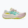Moteriški bėgimo bateliai ASICS Trabuco Max 5 mineral beige/aurora green