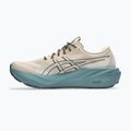 Vyriški bėgimo bateliai ASICS Gt-2000 15 TR simply taupe/foggy teal 10