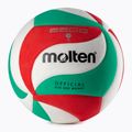 Molten tinklinio kamuolys V5M2200 5 dydžio 2