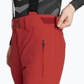 Vyriškos slidinėjimo kelnės Descente Swiss electric red 4