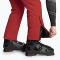 Vyriškos slidinėjimo kelnės Descente Swiss electric red 7