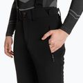 Vyriškos slidinėjimo kelnės Descente Swiss Regular black 3