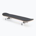 Klasikinė riedlentė Tony Hawk SS 180 Complete rotten 4