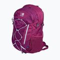 Turistinė kuprinė Karrimor Metro 30 l boysenberry 4